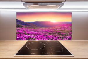 Panel do kuchyne Ružové kopca pl-pksh-100x50-f-72586785