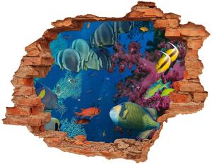Fototapeta diera na stenu 3D Koralový útes nd-c-64308436