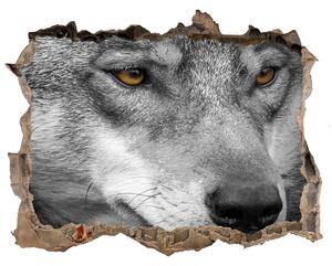 Díra 3D fototapeta na stěnu nálepka Vlk nd-k-103311727