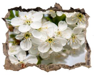 Samolepící díra nálepka Čerešňové kvety