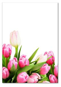 Fotoobraz na skle Ružové tulipány