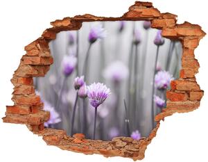 Fototapeta diera na stenu 3D Kvety pažítka nd-c-67853313