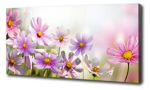Foto obraz canvas Kvety na lúke pl-oc-100x50-f-50039707