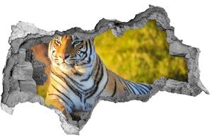 Diera 3D fototapeta nálepka Portrét tigra nd-b-65114965
