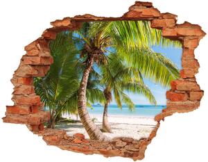 Fotoobraz diera na stenu Tropické pláže nd-c-126132906