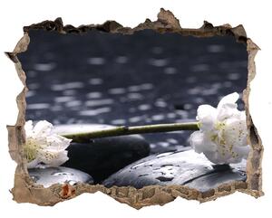 Samolepící nálepka fototapeta Čerešňový kvet