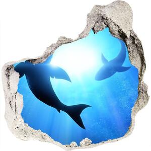 Diera 3D fototapety na stenu nálepka Dva žraloky