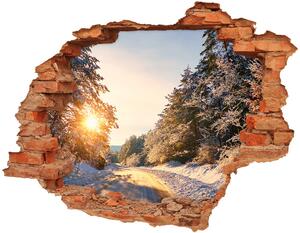 Fototapeta diera na stenu 3D Cesty v lese v zime