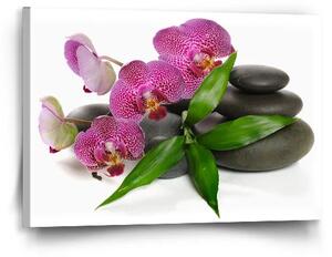 Sablio Obraz Orchidea a kamene - 60x40 cm