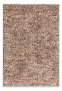 KOBEREC S VYSOKÝM VLASOM, 200/290 cm, taupe Astra - Koberce
