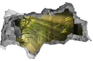 Nálepka fototapeta 3D výhľad Forest na slnku