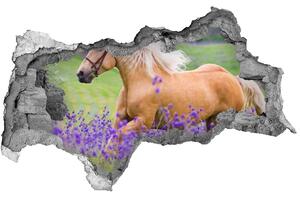 Diera 3D fototapeta Kôň v poli levandule nd-b-84450910