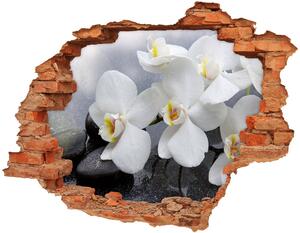 Samolepiaca diera nálepka Orchidea nd-c-144310520