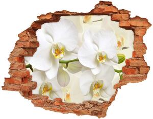 Samolepiaca nálepka Orchidea nd-c-123330197
