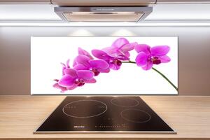 Panel do kuchyne Ružová orchidea pl-pksh-125x50-f-67691978