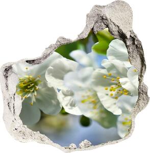 Diera 3D fototapety na stenu Čerešňový kvet