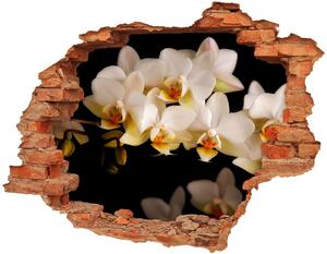 Nálepka fototapeta 3D výhľad Orchidea nd-c-95410450