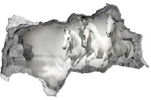 Diera 3D fototapeta na stenu Biele kone nd-b-44040199