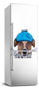 Foto nálepka na chladničku stenu Chorý pes