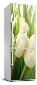 Nálepka fototapeta Biele tulipány