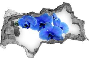 Samolepiaca diera nálepka Modrá orchidea nd-b-91549599