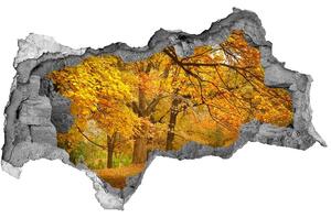 Diera 3D v stene nálepka Jeseň v parku nd-b-43414176