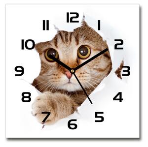 Sklenené nástenné hodiny štvorec Mačka