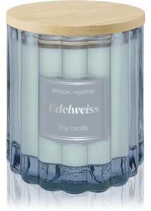 Esprit Provence Edelweiss vonná sviečka s viečkom 100 g