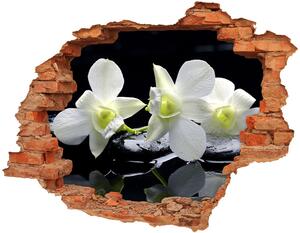 Nálepka fototapeta 3D výhľad Orchidea nd-c-28908662
