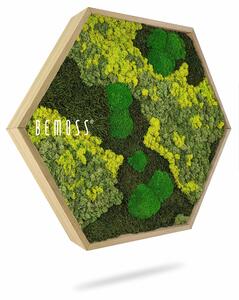 Machový Hexagon BEMOSS® ORTHO LIME