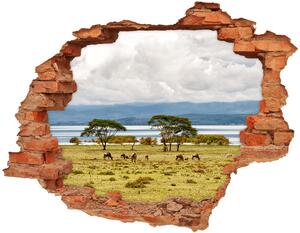 Fotoobraz diera na stenu Naivasha nd-c-60219348