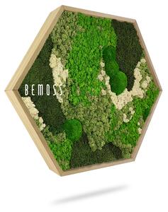 Machový Hexagon BEMOSS® ORTHO GREEN
