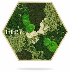 Machový Hexagon BEMOSS® ORTHO FOREST