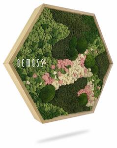 Machový Hexagon BEMOSS® ORTHO PINK