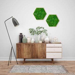 Machový Hexagon BOLMOSS Light green