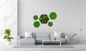 Machový Hexagon FLATMOSS & BOLMOSS Light green