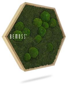 Machový Hexagon FLATMOSS & BOLMOSS Natural green - Priemer 30 cm (v najširšom mieste šesťuholníka)