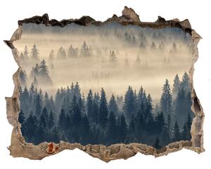 Díra 3D ve zdi nálepka Hmla nad lesom nd-k-134224571