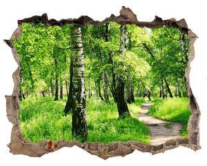 Nálepka fototapeta 3D výhled Brezového lesa nd-k-78692232