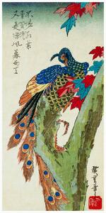 Umelecká tlač Peacock Perched on a Maple Tree (Japan) - Utagawa Hiroshige, (20 x 40 cm)