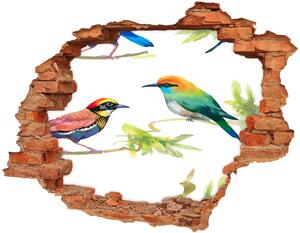 Nálepka 3D diera na stenu betón Exotické vtáctvo