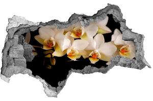 Nálepka fototapeta 3D výhľad Orchidea nd-b-95410450