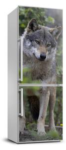 Samolepiace nálepka na chladničku Vlk v lese