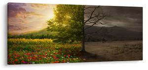 Obraz - Kolobeh života (120x50 cm)