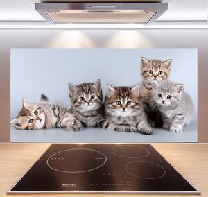 Dekoračný panel sklo Päť mačiek
