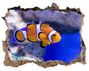 Díra 3D fototapeta Klaun koralový útes nd-k-120479478