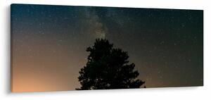 Obraz nočnej oblohy so stromami (120x50 cm)