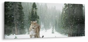Obraz leoparda v snehu (120x50 cm)