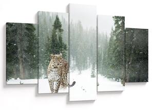 Obraz leoparda v snehu (150x105 cm)