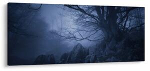 Obraz temného lesa (120x50 cm)